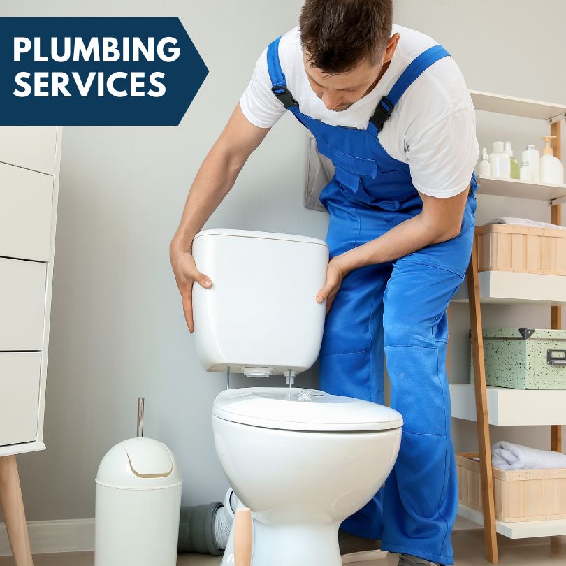 Plumbing Company in Wolf Lake, IL